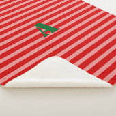 モノグラムメリーピンクレッドストライプ シェルパブランケット (3/4)