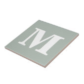 モノグラム灰色補コンテンポラリー色 タイル (側面)