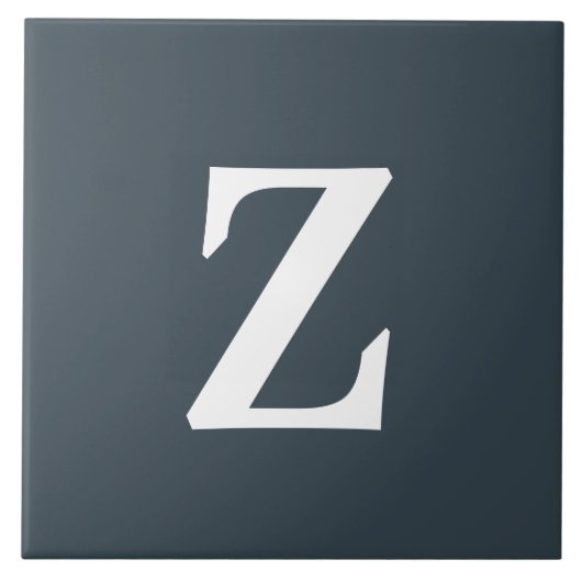 モノグラム炭スタイリッシュ色補色剤 タイル (正面)