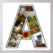 モノグラム独自の6カスタム枚の写真コラージュを作成 ポスター (正面)