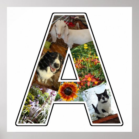 モノグラム独自の6カスタム枚の写真コラージュを作成 ポスター (正面)