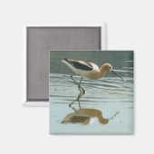 モノレイクでの鳥の反射 マグネット (正面/裏面)
