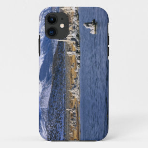 モノレイクタファ州立自然保護区, iPhone 11 ケース