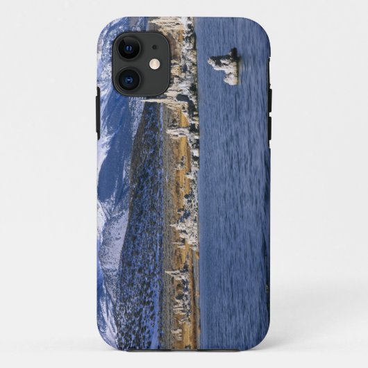 モノレイクタファ州立自然保護区, Case-Mate iPhoneケース (裏面)