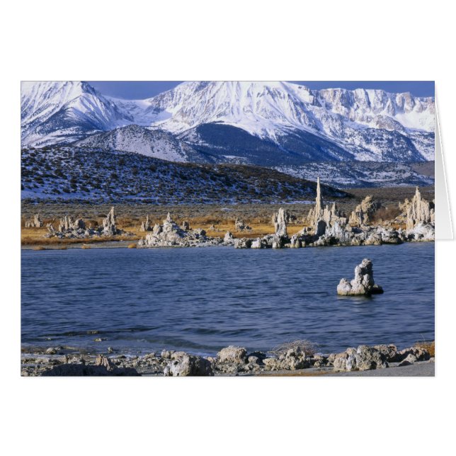 モノレイクトゥファ州自然保護区 (正面横)