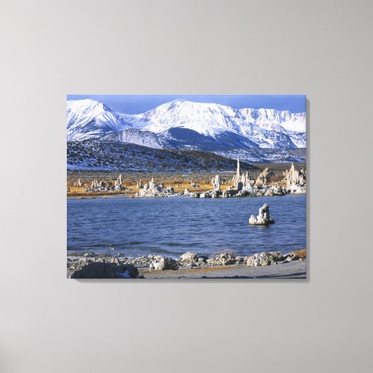 モノレイクトゥファ州自然保護区、 キャンバスプリント (正面)