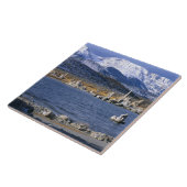 モノレイクトゥファ州自然保護区 タイル (側面)