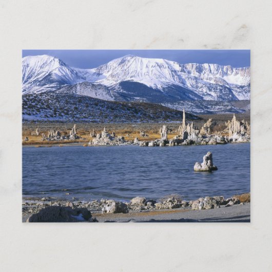 モノレイクトゥファ州自然保護区、 ポストカード (正面)