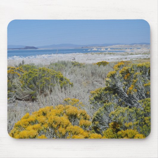 モノレイク（カリフォルニア州） マウスパッド (正面)