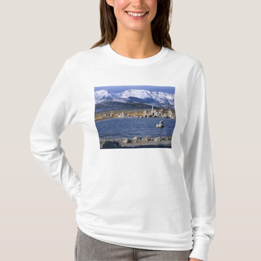 モノレイク・タファ州立自然保護区, Tシャツ (正面)