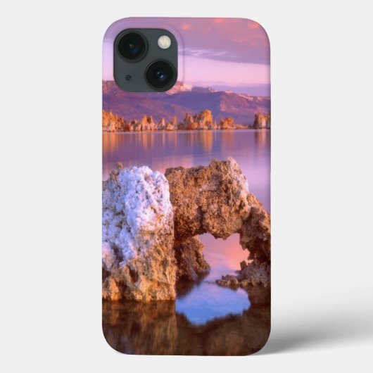 モノ湖のトゥファアーチ Case-Mate iPhoneケース (裏面)