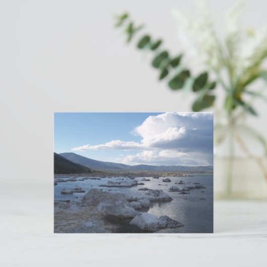 モノ湖 ポストカード (スタンド正面)