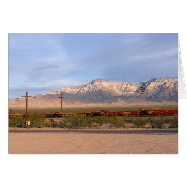 モハベ国立保存地域カリフォルニア (正面横)