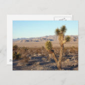 モハベ砂漠のシーン01 ポストカード (正面/裏面)