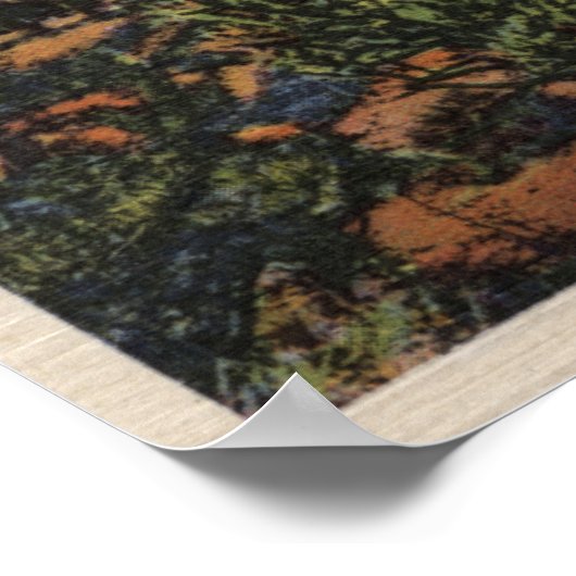 モハベ砂漠のユッカの木々の眺め ポスター (角)