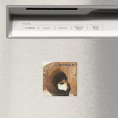 モハベ砂漠マグネット！ マグネット (インサイチュ (食洗機))