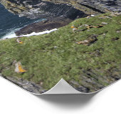 モハーとオブライエンの塔の風光明媚な崖 ポスター (角)