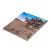 モハーベのジョシュアツリー タイル (側面)