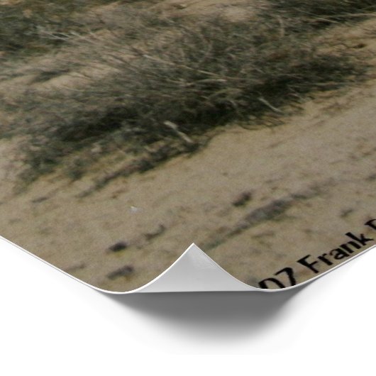 モハーベの真夜中 ポスター (角)