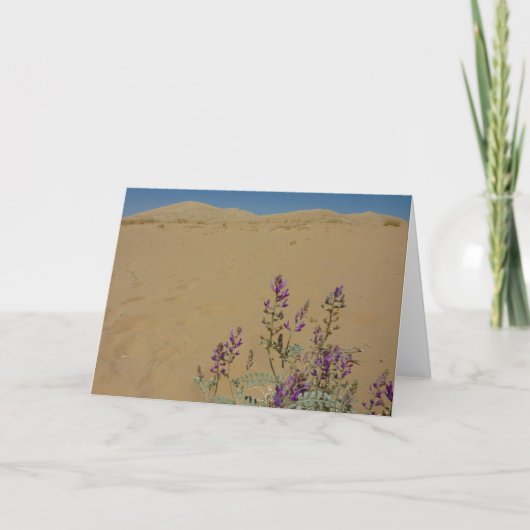 モハーヴェ・インディゴ・ブッシュとケルソ・デューンズ カード (正面)