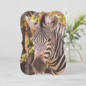 モパストライプのニの森の写真に閉じ込めたゼブラ (スタンド正面)