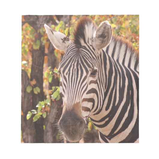 モパストライプのニの森の写真に閉じ込めたゼブラ ノートパッド (正面)