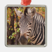 モパストライプのニの森の写真に閉じ込めたゼブラ メタルオーナメント (正面)