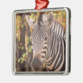 モパストライプのニの森の写真に閉じ込めたゼブラ メタルオーナメント (左)