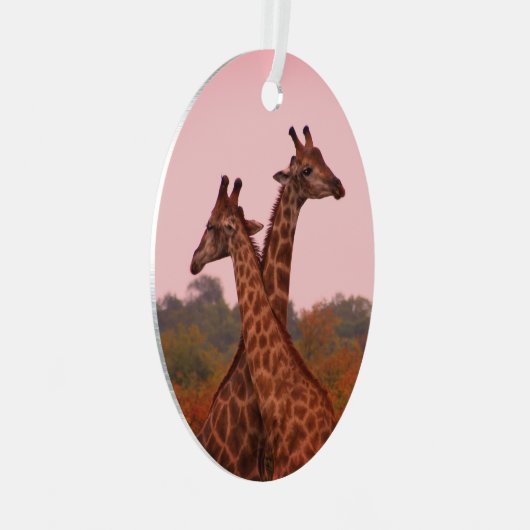 モパニの木に立つキリンのピンクの空 メタルオーナメント (正面右)