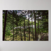 モヒカン州パークのカバーブリッジ、オハイオ。