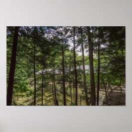 モヒカン州パークのカバーブリッジ、オハイオ。 ポスター