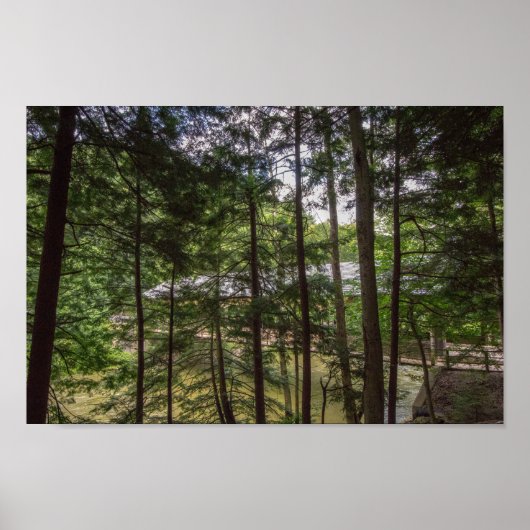 モヒカン州パークのカバーブリッジ、オハイオ。 ポスター (正面)