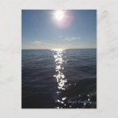 モビール湾、アラバマの郵便はがきのたそがれ ポストカード (正面)