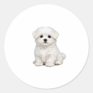 モフモフな白いマルタeseの子犬のポートレートが可愛すぎて、犬好きな人にはたまらない ラウンドシール