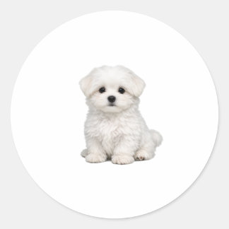 モフモフな白いマルタeseの子犬のポートレートが可愛すぎて、犬好きな人にはたまらない ラウンドシール