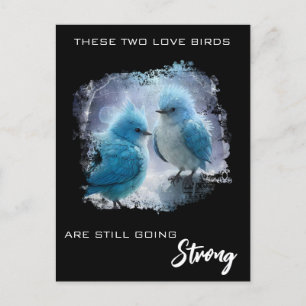 *～* モフモフ フォト  ラブバード AP54 記念日 ポストカード