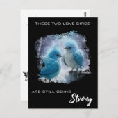 *~* モフモフ フォト ラブバード AP54 記念日 ポストカード (正面/裏面)