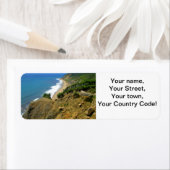 モヘガンブラフスコーンコーブ ラベル (インサイチュ)