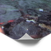 モホークモレー ポスター (角)