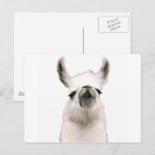 モマラマ ポストカード (正面/裏面)