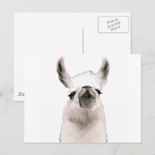 モマラマ ポストカード (正面/裏面)