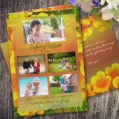 モマ素晴らしーコパデオロ カード