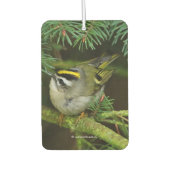 モミの中でカワイイ鳴き鳥が騒ぐ カーエアーフレッシュナー (正面)