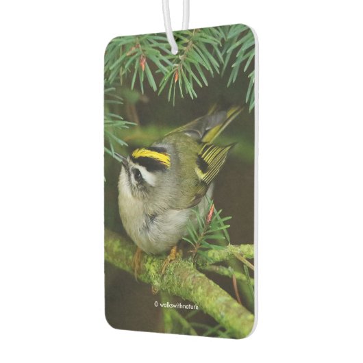 モミの中でカワイイ鳴き鳥が騒ぐ カーエアーフレッシュナー (左)