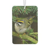 モミの中でカワイイ鳴き鳥が騒ぐ カーエアーフレッシュナー (裏面)