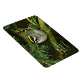 モミの中でカワイイ鳴き鳥が騒ぐ マグネット (右側)