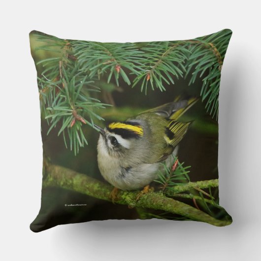 モミの中で大騒ぎを引き起こす可愛いキングレット・ソンバード クッション (裏面)