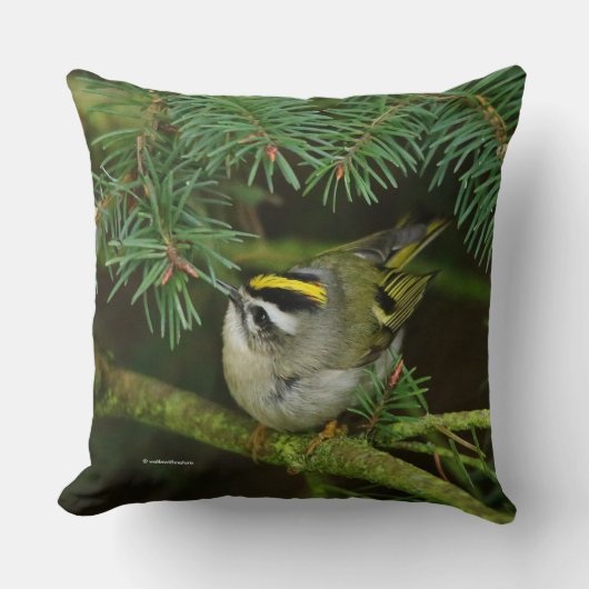 モミの中で大騒ぎを引き起こす可愛いキングレット・ソンバード クッション (正面)