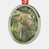 モミの中で大騒ぎを引き起こす可愛いキングレット・ソンバード メタルオーナメント (左)