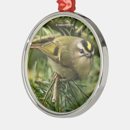 モミの中で大騒ぎを引き起こす可愛いキングレット・ソンバード メタルオーナメント (左)